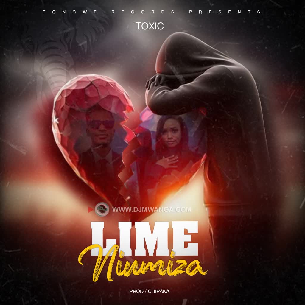 Download Audio | Toxic – Limeniumiza