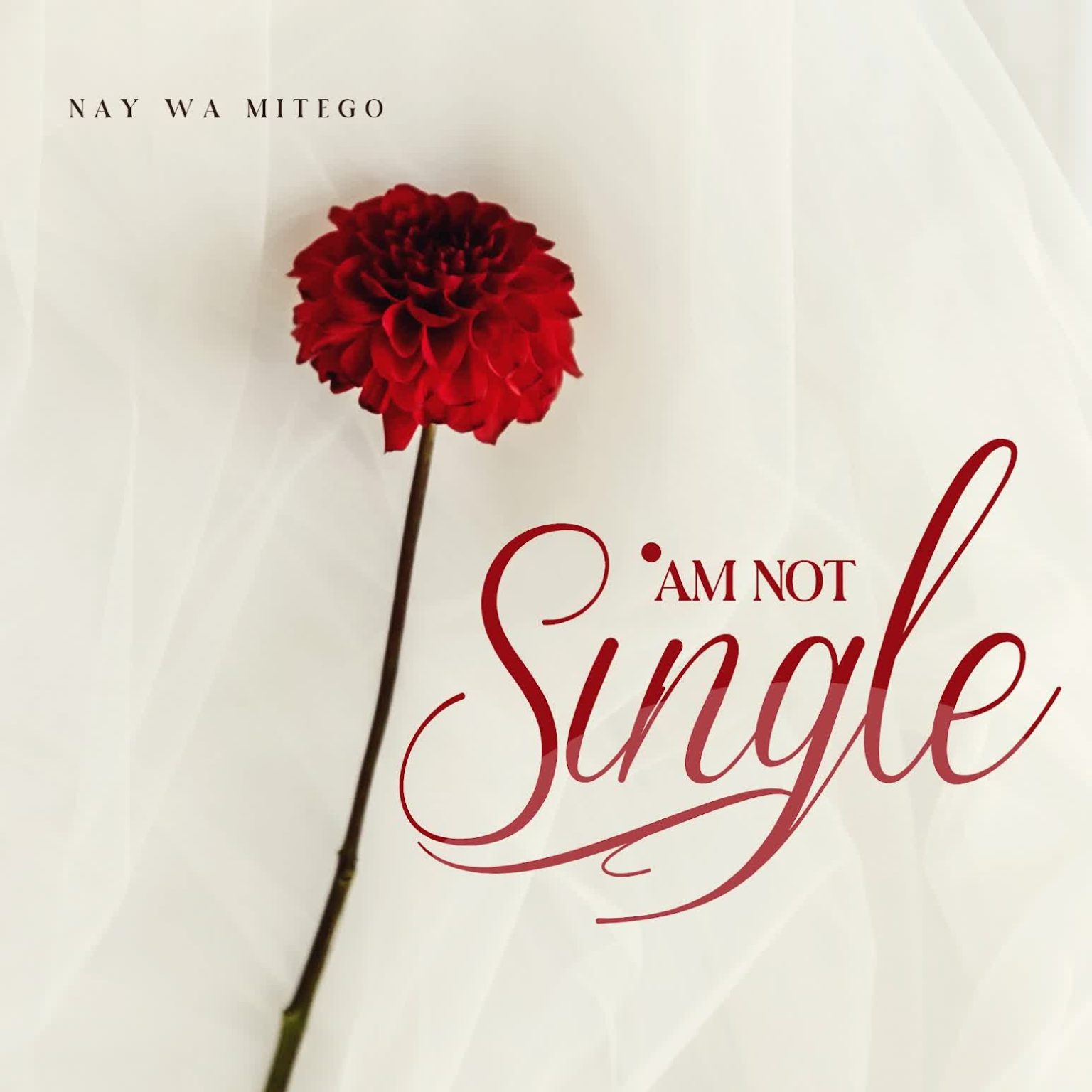 Download Audio | Nay Wa Mitego – Am Not Single