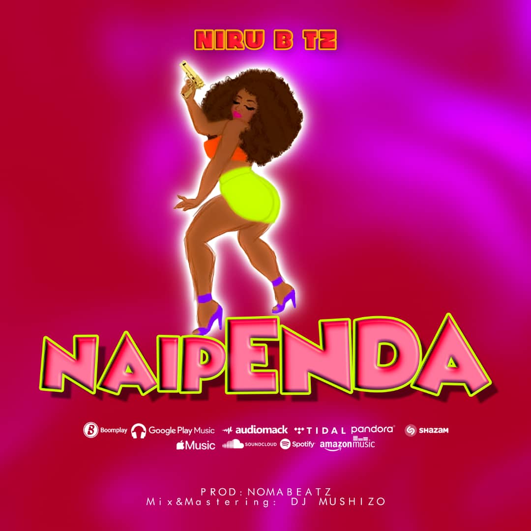 Download Audio | Niru B – Naipenda
