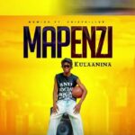 Music Audio : Mbwido – Mapenzi Kulaanina | Download