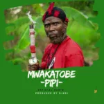 Music Audio : Mwakatobe – Pipi Ya Kijiti | Download